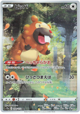 204 Bidoof
