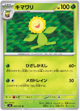 002 Sunflora