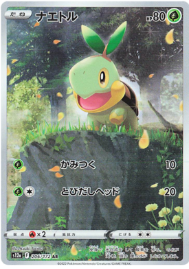 206 Turtwig