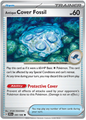 080 Antique Cover Fossil