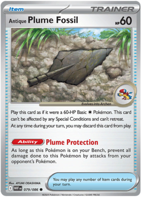 079 Antique Plume Fossil