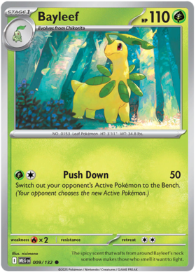 009 Bayleef