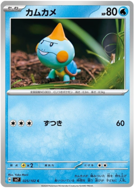 025 Chewtle