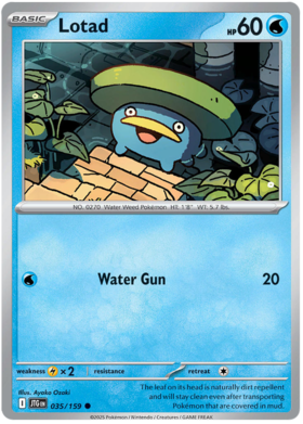 035 Lotad