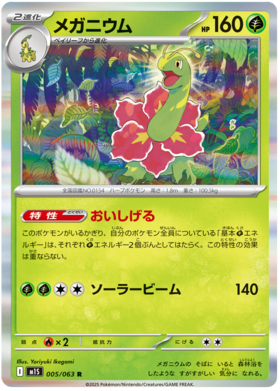 005 Meganium