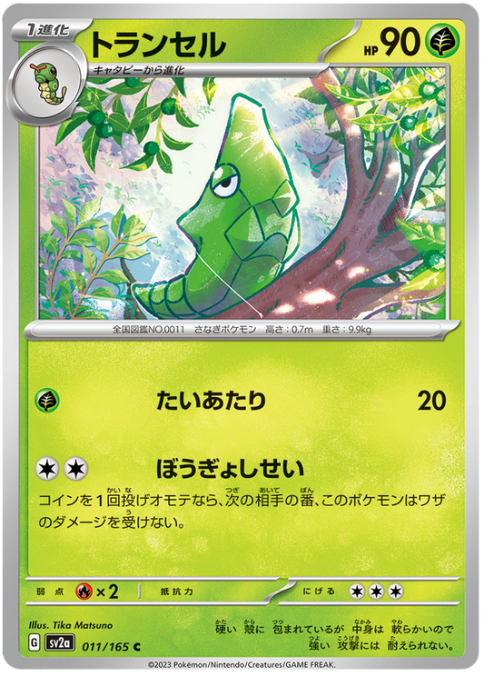 011 Metapod