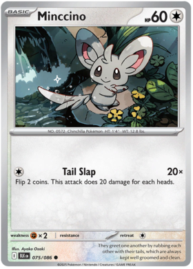 075 Minccino