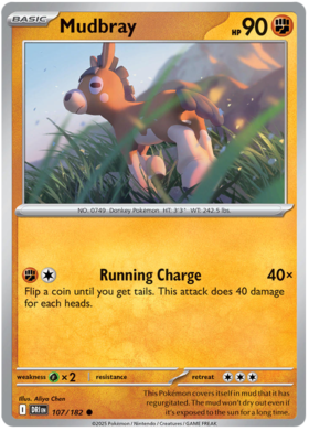 107 Mudbray