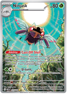 137 Ninjask