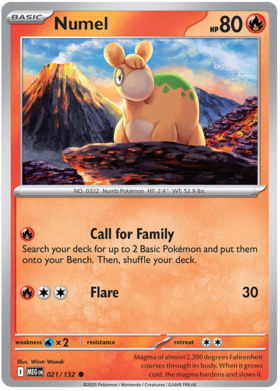 021 Numel