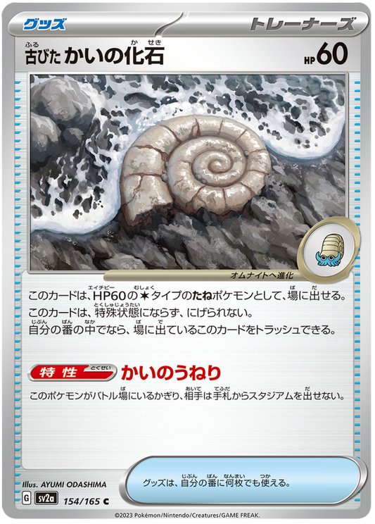 154 Old Helix Fossil