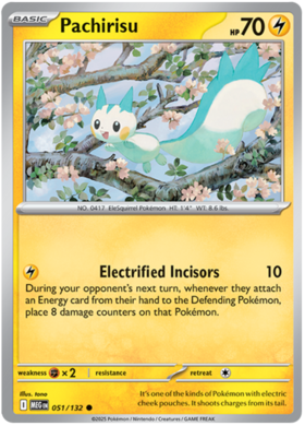 051 Pachirisu