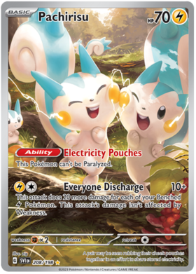 208 Pachirisu