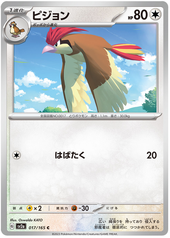 017 Pidgeotto