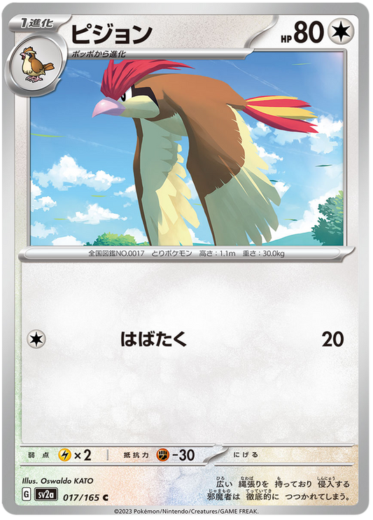 017 Pidgeotto