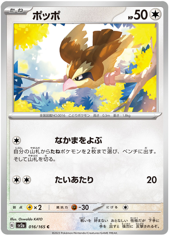 016 Pidgey