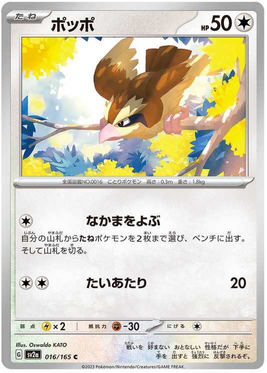 016 Pidgey