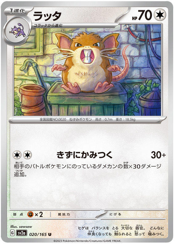 020 Raticate