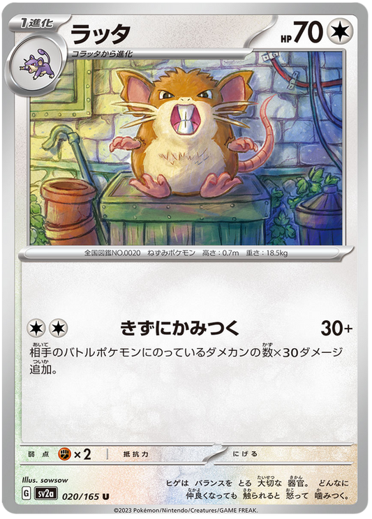 020 Raticate