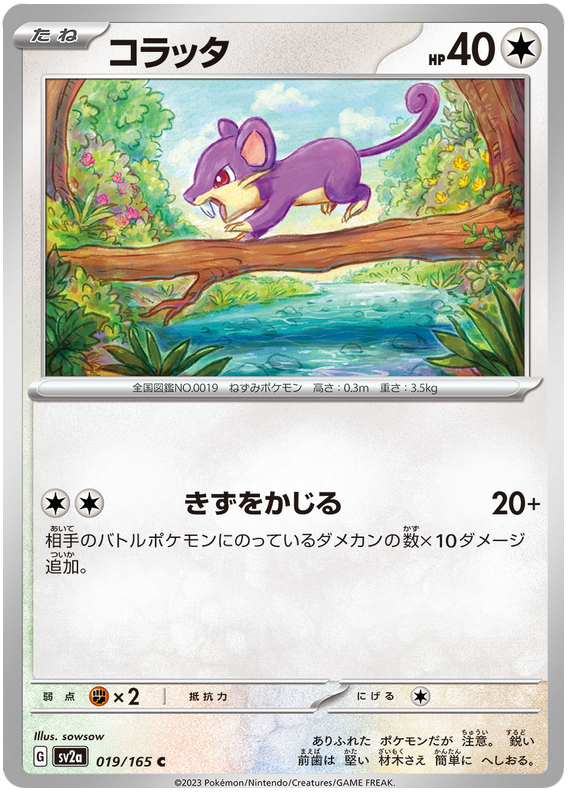 019 Rattata