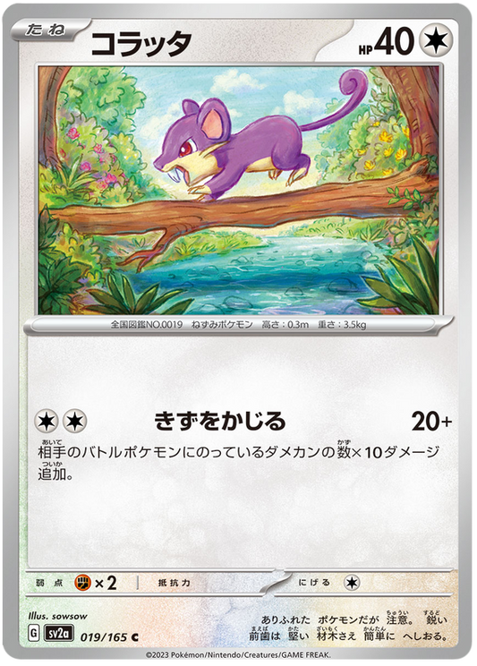 019 Rattata