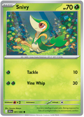 001 Snivy