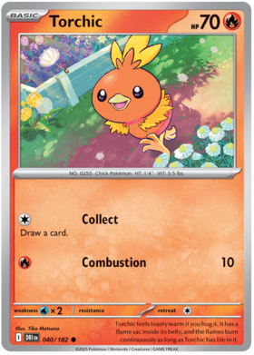 040 Torchic