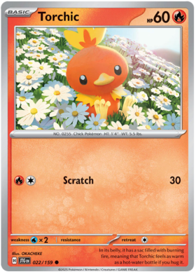 022 Torchic